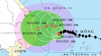 Ministerstwo Kultury, Sportu i Turystyki wzywa agencje i jednostki do proaktywnego zapobiegania, unikania i reagowania na sztorm nr 15.