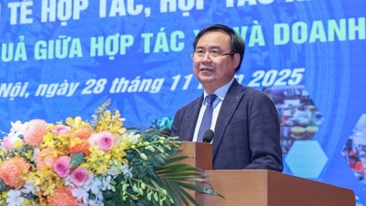 Liên kết chuỗi giá trị nông nghiệp: Doanh nghiệp là lực kéo, HTX là hạt nhân