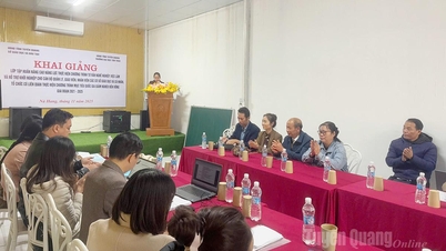 Îmbunătățirea capacității de consiliere în carieră și sprijinirea startup-urilor din zonele defavorizate