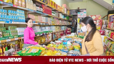 Steuerfreie Einnahmen für Gewerbetreibende können bis zu 300 Millionen VND betragen.