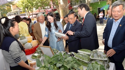 Displaying and introducing many OCOP products of Hai Phong city