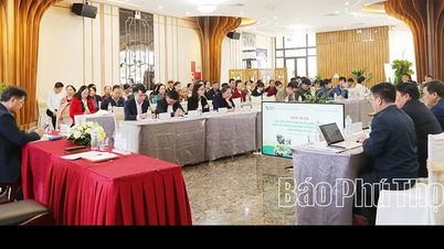 Meningkatkan keberkesanan aktiviti pengembangan pertanian komuniti mengikut model kerajaan tempatan dua peringkat