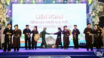 Festival de Canto para Personas Mayores de la provincia de Thai Nguyen en 2025