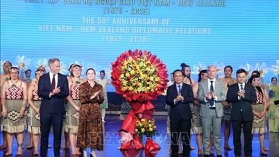 Ciudad Ho Chi Minh desea ampliar la cooperación con sus socios de Nueva Zelanda.