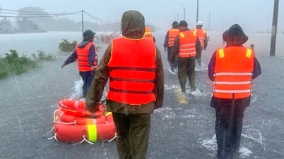Em resposta à tempestade número 15, Dak Lak planeja evacuar mais de 22.000 pessoas.