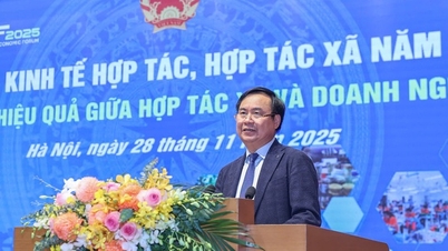 Kobling mellom kooperativ og foretak: Forslag om å endre retningslinjer og gi synkrone insentiver på skatt og kreditt