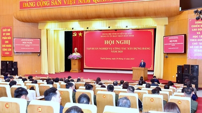 יותר מ-500 נציגים אומנו בעבודת בניית המפלגה.