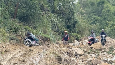 Deslizamientos de tierra en muchas carreteras de la comuna montañosa de Phu Mo (Dak Lak)