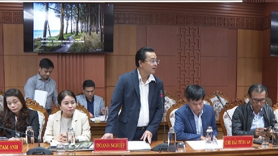 দা নাং-এ জেলেক্সিমকো গ্রুপের বিনিয়োগকৃত প্রকল্পগুলিতে বাধাগুলি দ্রুত অপসারণ করুন