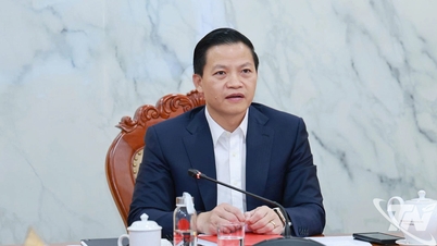 Pesquisa sobre soluções para superar as inundações na área central da província