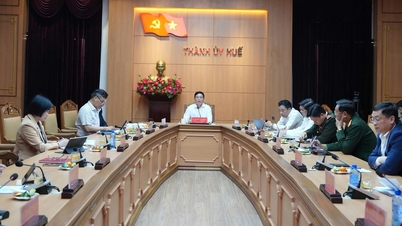 Fortalecer a propaganda e implementar prontamente a Resolução do 17º Congresso do Partido da Cidade.