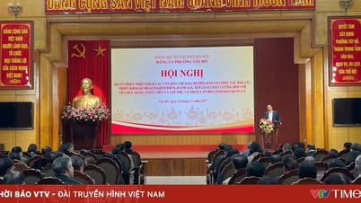 Tay Ho Ward planerar att välja 30 delegater till folkrådet