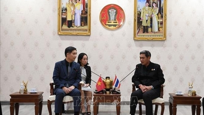 Chiang Mai deseja promover a cooperação com as localidades vietnamitas.