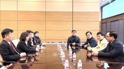 Vietnã e Coreia reforçam cooperação em matéria de trabalho e emprego.