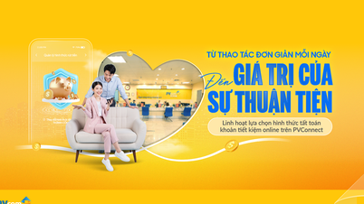 Flexibelt online-sparande, proaktiv ekonomisk hantering på PVConnect