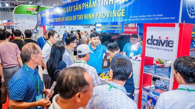 Tay Ninh apoia a participação de empresas na 22ª Exposição Internacional de Máquinas, Equipamentos, Tecnologia e Produtos Industriais na cidade de Ho Chi Minh.