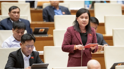 Ketidaksesuaian antara "kulit administratif" dan "inti kota" menimbulkan konflik dalam sistem perencanaan.