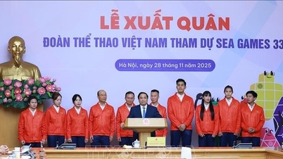 نخست وزیر فام مین چین: هیئت ورزشی ویتنام که در سی و سومین دوره بازی‌های SEA شرکت می‌کند باید روحیه ورزشی را با روحیه ملی ترکیب کند.