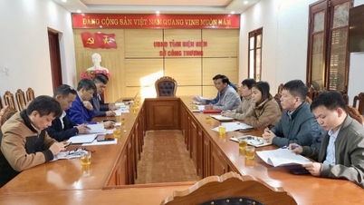 Dien Bien: Mempromosikan peran industri kecil, menciptakan penghidupan yang berkelanjutan