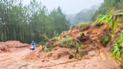 लाम डोंग ने राष्ट्रीय राजमार्ग 27सी पर प्राकृतिक आपदा आपातकाल घोषित किया