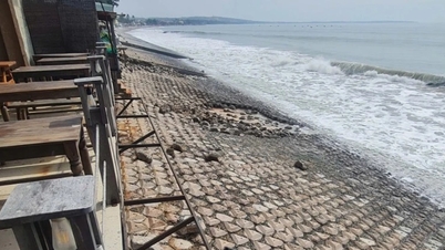 लाम डोंग: लहरों ने तटबंध को क्षतिग्रस्त किया, 10 से अधिक...