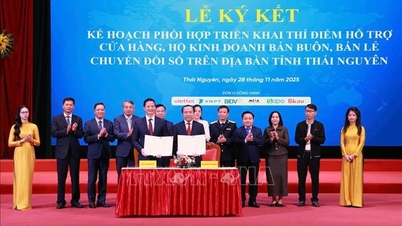 태국 응우옌, 매장 및 기업의 디지털 전환 지원 시범 실시