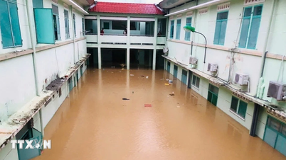 Khánh Hòa: Sau mưa lũ, hàng ngàn liều vaccine tiêm chủng mở rộng bị hỏng