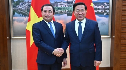 베트남-중국 농업협력위원회 회의에서 제기된 일련의 문제들