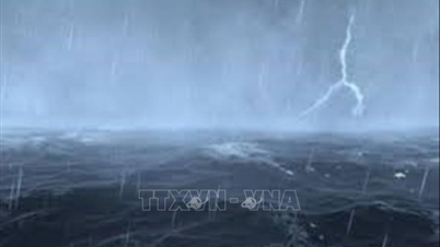 다낭에서 안장까지 동해 인근 열대저기압에 선제 대응