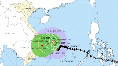 Penduduk digesa bertindak balas terhadap ribut No. 15 dan kemurungan tropika