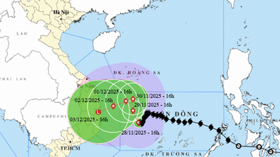 Storm No. 15 has very complex movement direction and intensity changes.