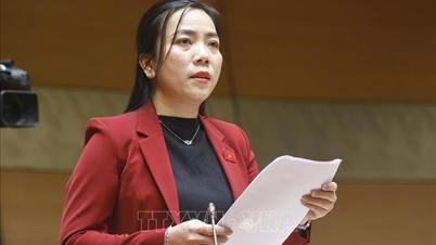 Η ισχυρή αποκέντρωση του σχεδιασμού πρέπει να συνοδεύεται από μηχανισμούς συντονισμού.