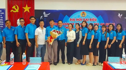 टीबीएस एन गियांग ज्वाइंट स्टॉक कंपनी के ट्रेड यूनियन की कांग्रेस