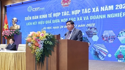 Deputy Prime Minister Nguyen Chi Dung: Cooperatives must be considered equal business partners.