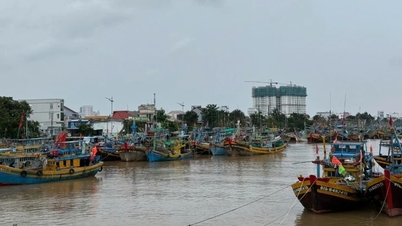 Lam Dong förbjuder fartyg att operera till sjöss på grund av storm nr 15