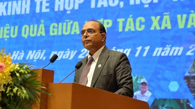 Experience in agricultural linkage: A view from the Indian dairy cooperative model