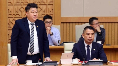 ‘Vergelijking’ van de capaciteit van bedrijven die de 67 miljard dollar kostende Noord-Zuid-hogesnelheidslijn willen bouwen: veel verrassingen