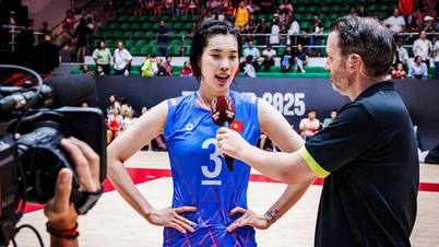Thanh Thúy góp mặt trong đội hình 28 siêu sao bóng chuyền thế giới