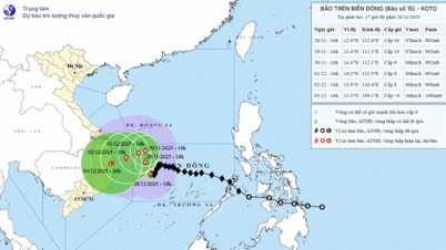 Bão số 15 di chuyển chậm, cảnh báo gió mạnh và sóng lớn trên biển