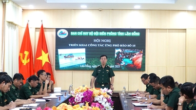 Bộ đội Biên phòng Lâm Đồng khẩn trương triển khai ứng phó bão số 15