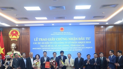 Proyek super kawasan wisata perkotaan kelas atas, memposisikan Gia Lai di peta global