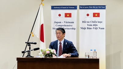 عامان من الشراكة الاستراتيجية الشاملة بين فيتنام واليابان: أقرب من أي وقت مضى