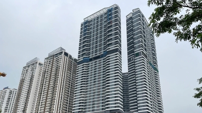 ธนาคารต้องสนับสนุนเงินเดือน 12 เดือนเมื่อยึดบ้านเพียงหลังเดียวของผู้กู้