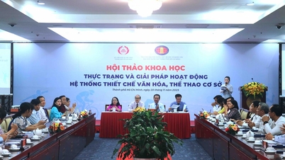 ہو چی منہ شہر میں نچلی سطح پر ثقافتی اور کھیلوں کے اداروں کے نظام کی موجودہ صورتحال