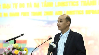 Les zones de libre-échange et de logistique dynamisent le développement de la ville de Da Nang