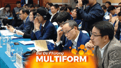 Ho Chi Minh-byen skaper spesielle mekanismer og innflytelse for å tiltrekke seg strategiske investorer