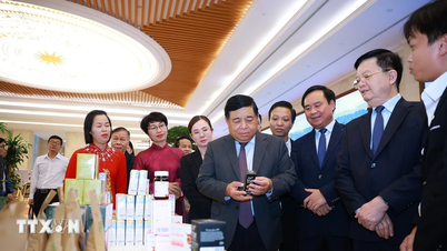 सहकारी आर्थिक मंच: पेशेवर और डिजिटल किसानों को प्रशिक्षण