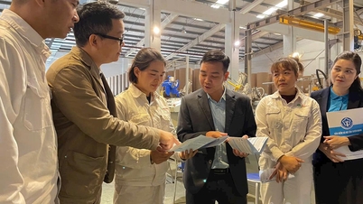 तुयेन क्वांग प्रांतीय सामाजिक बीमा: लक्ष्यों को पूरा करने में तेजी