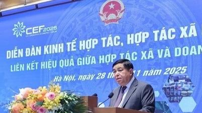 סגן ראש הממשלה נגוין צ'י דונג: גיוס משאבים לפיתוח הכלכלה השיתופית וקואופרטיבים