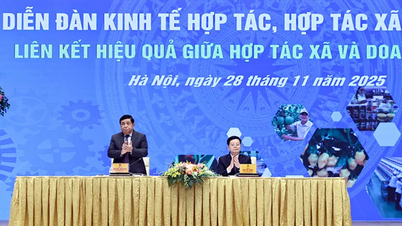 협동조합과 기업 간 연계를 효과적으로 촉진합니다.